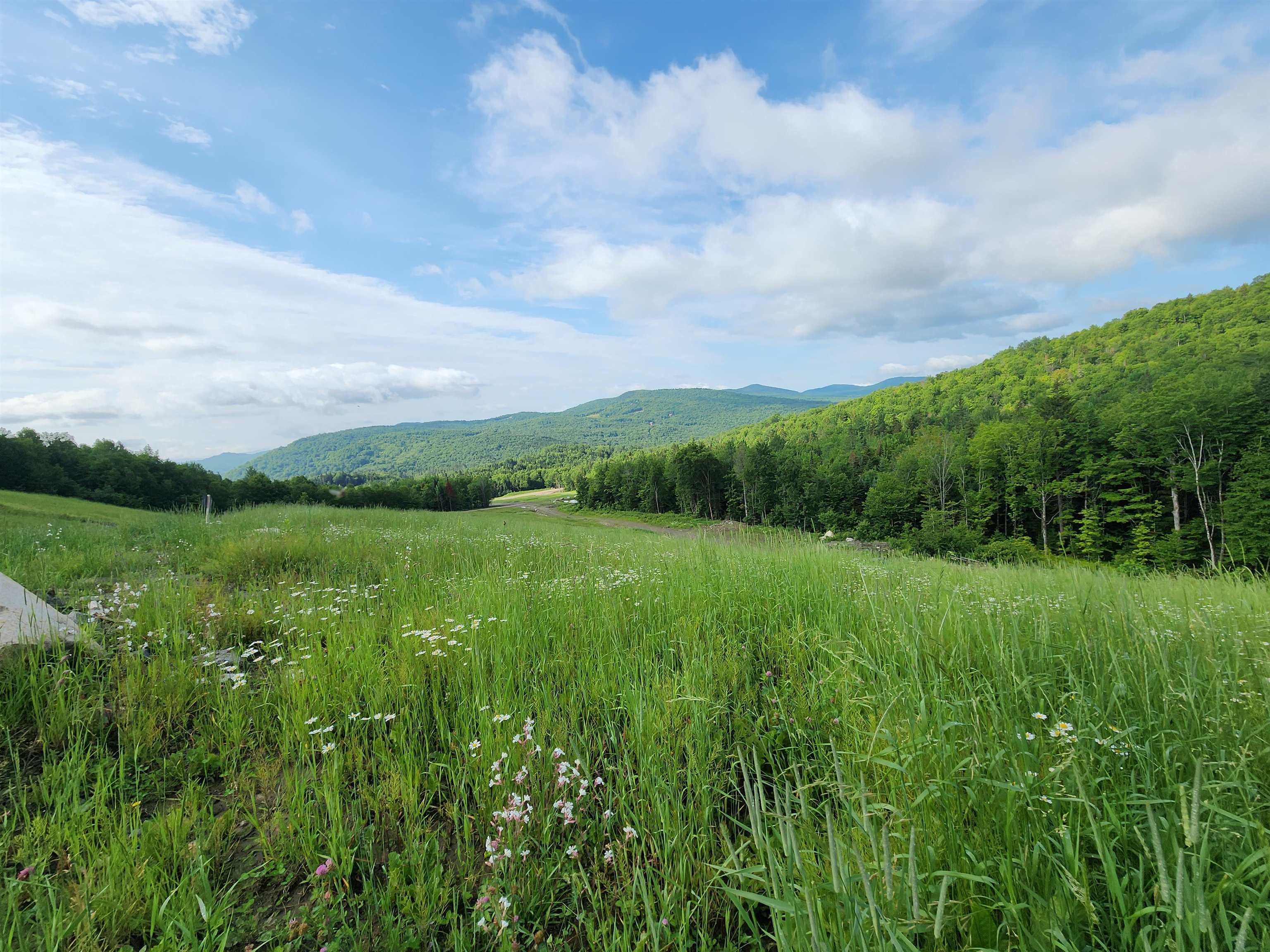 LOT 3 Ginnie Lane R020-0010-0003