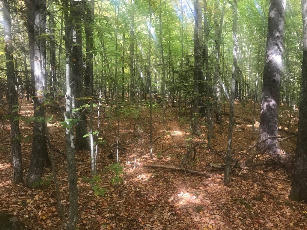 Photo of 21612 Upper Road, Sandwich, NH 03227 (MLS # 5113839)