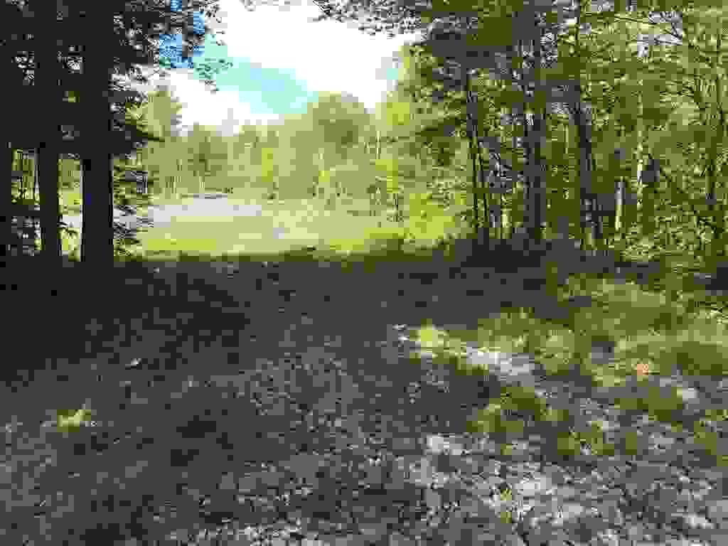 Photo of 42011 Route 9 Highway #420-11, Stoddard, NH 03464 (MLS # 5093955)