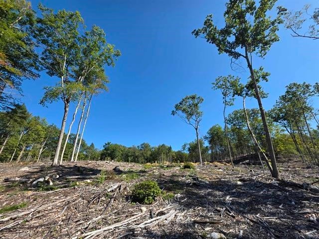 Photo of 0 Shannon Road, Gilmanton, NH 03237 (MLS # 5111575)