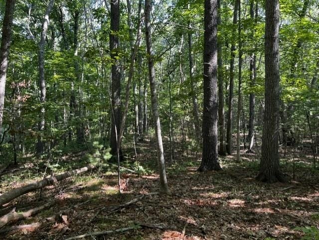 Photo of 271 Atlantic Avenue, North Hampton, NH 03862 (MLS # 5103932)
