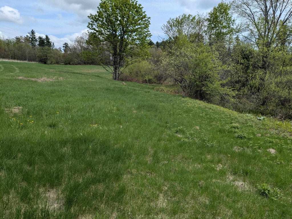 Photo of 34 Boyce Road, Canterbury, NH 03224 (MLS # 5113103)