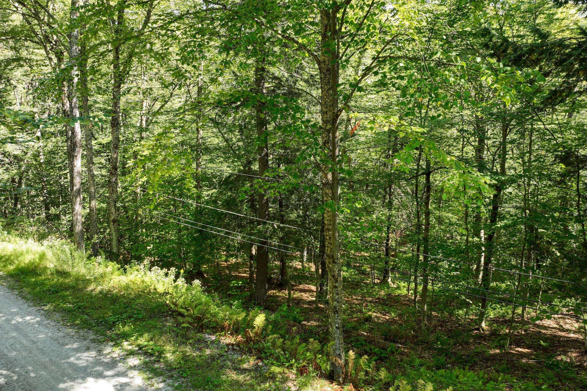 1-61 Hawk Spur Road 1-61 - Photo 2