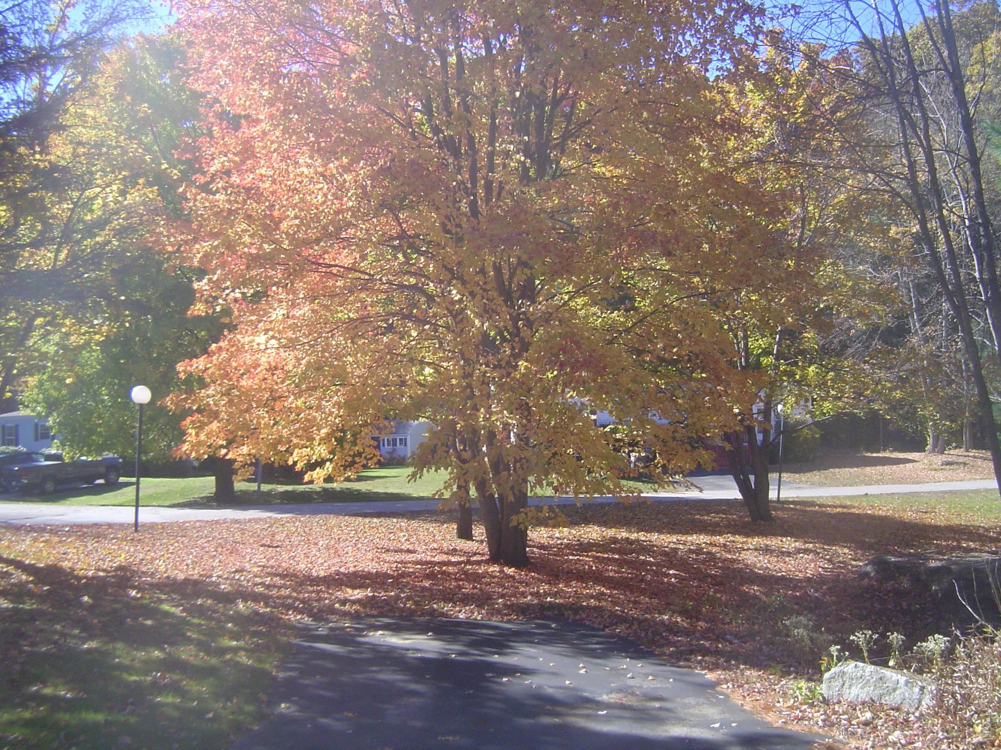 4 Kyle Avenue