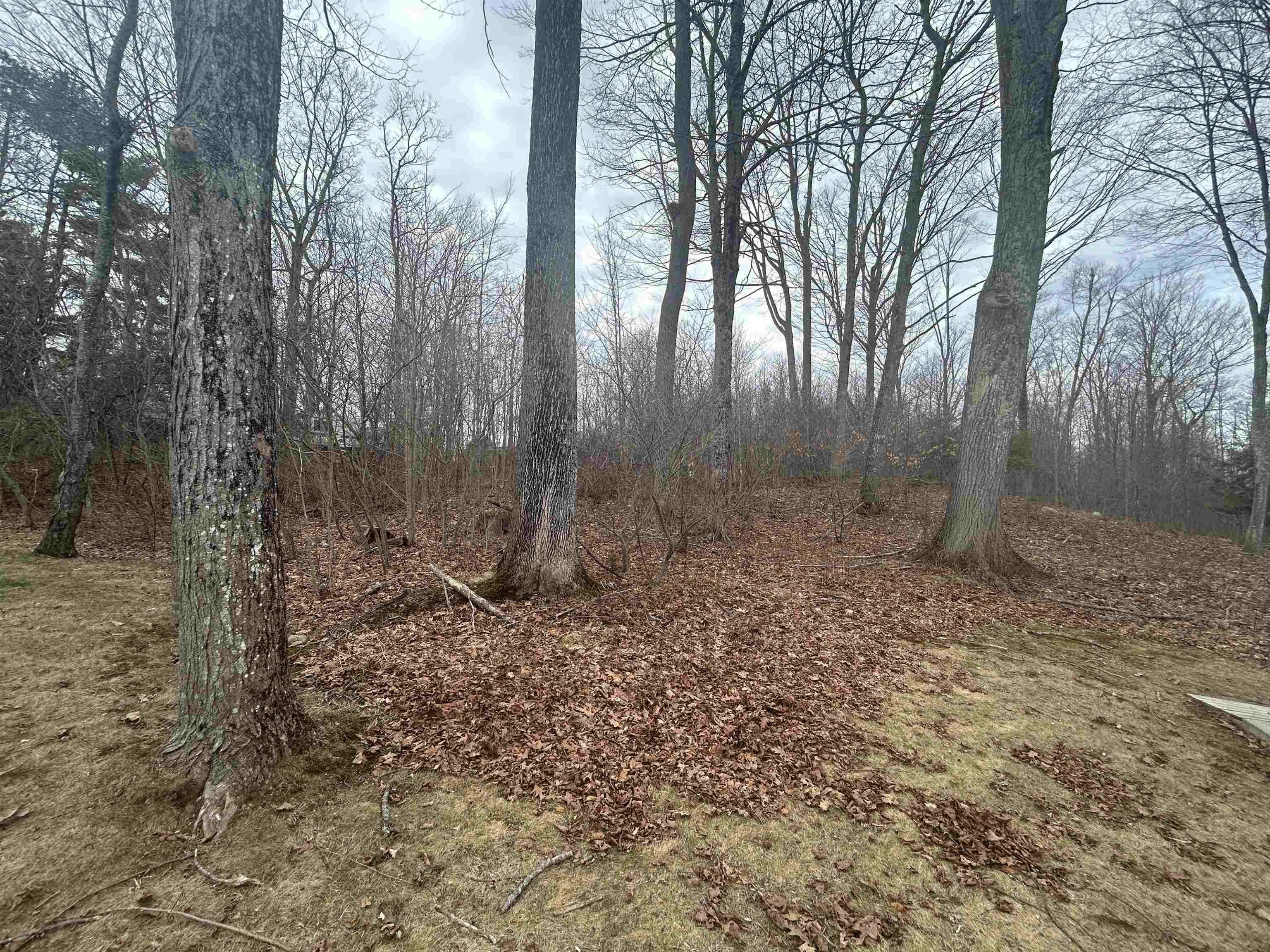 13 Seaglass Lane