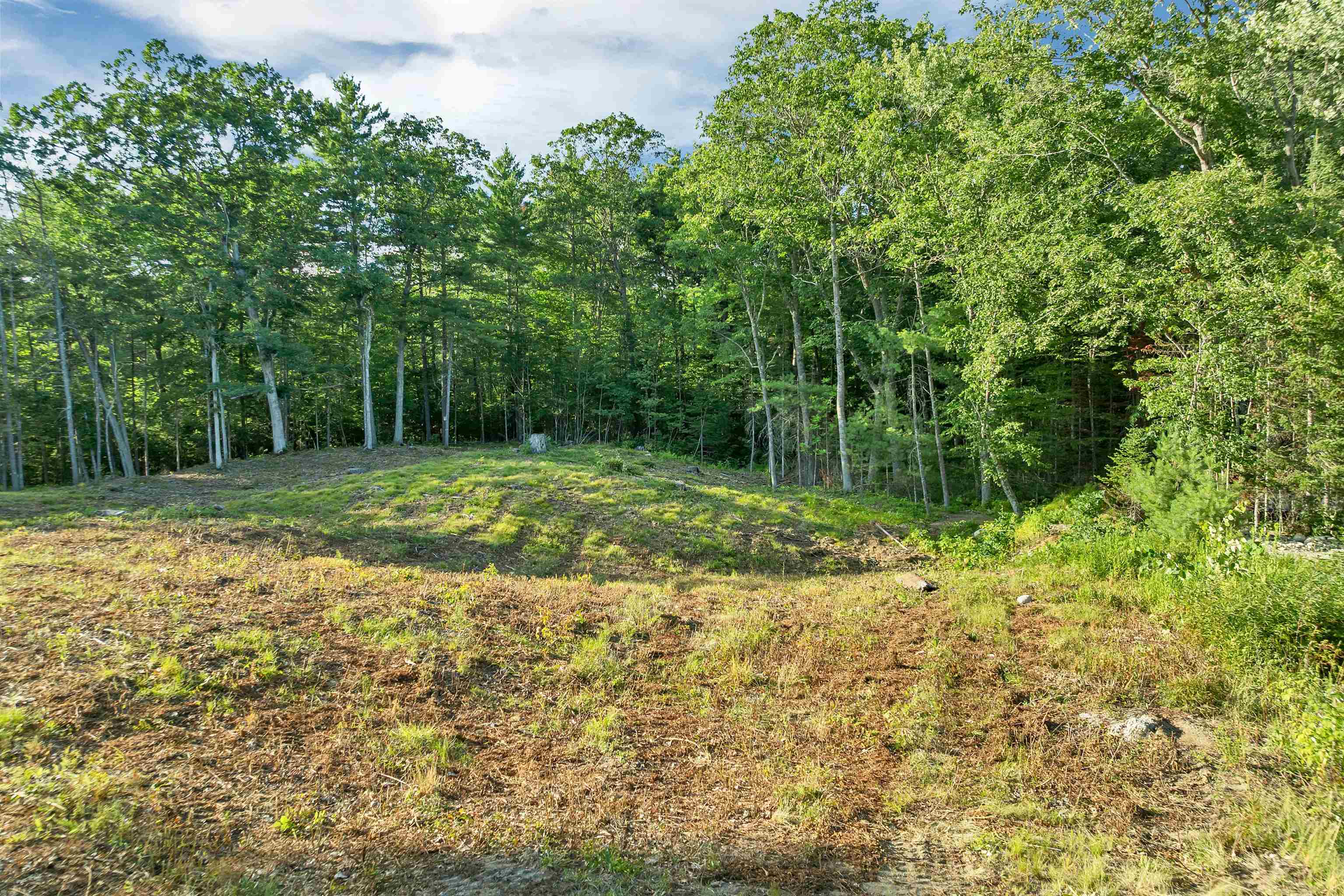 Lot 52 Remington Court