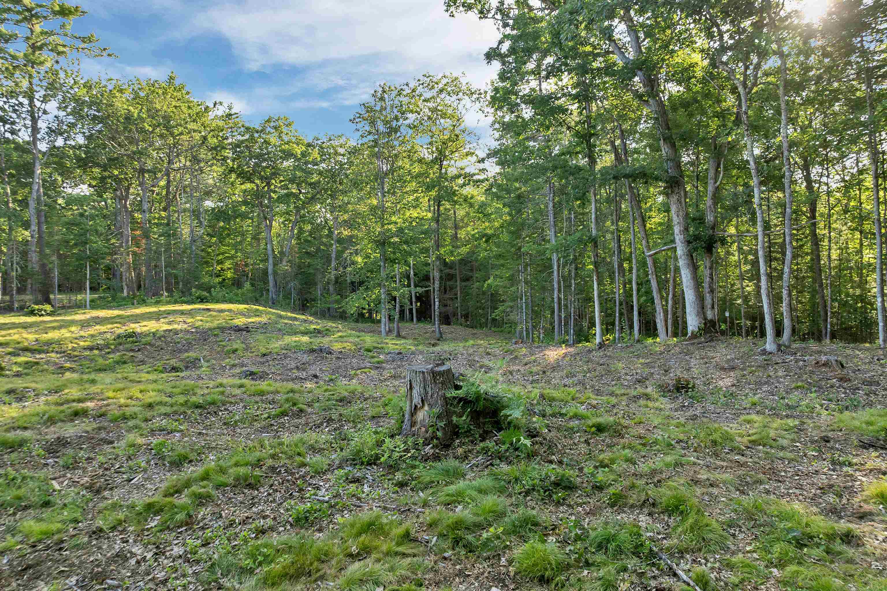 Lot 52 Remington Court