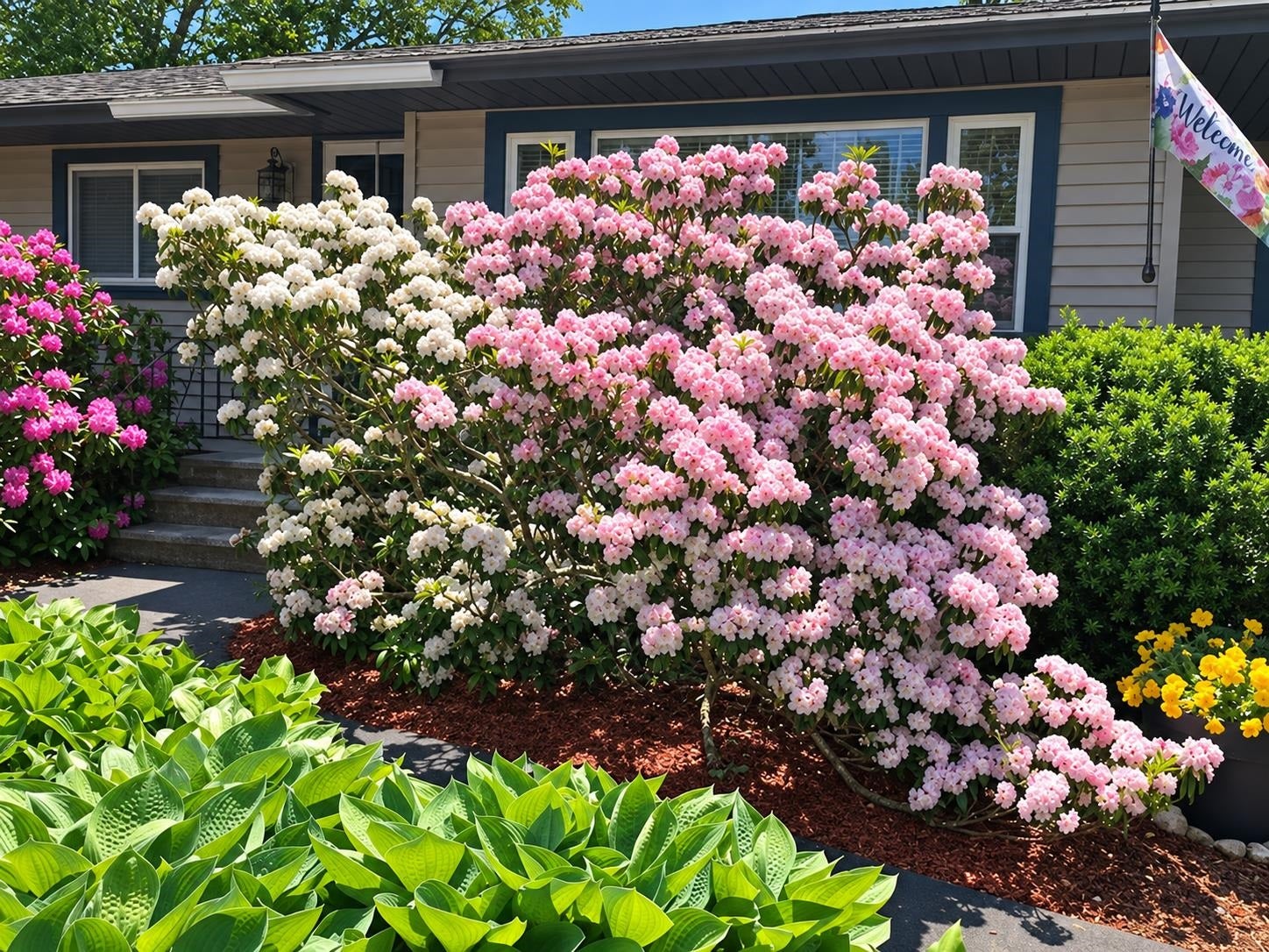 201 Paquette Avenue