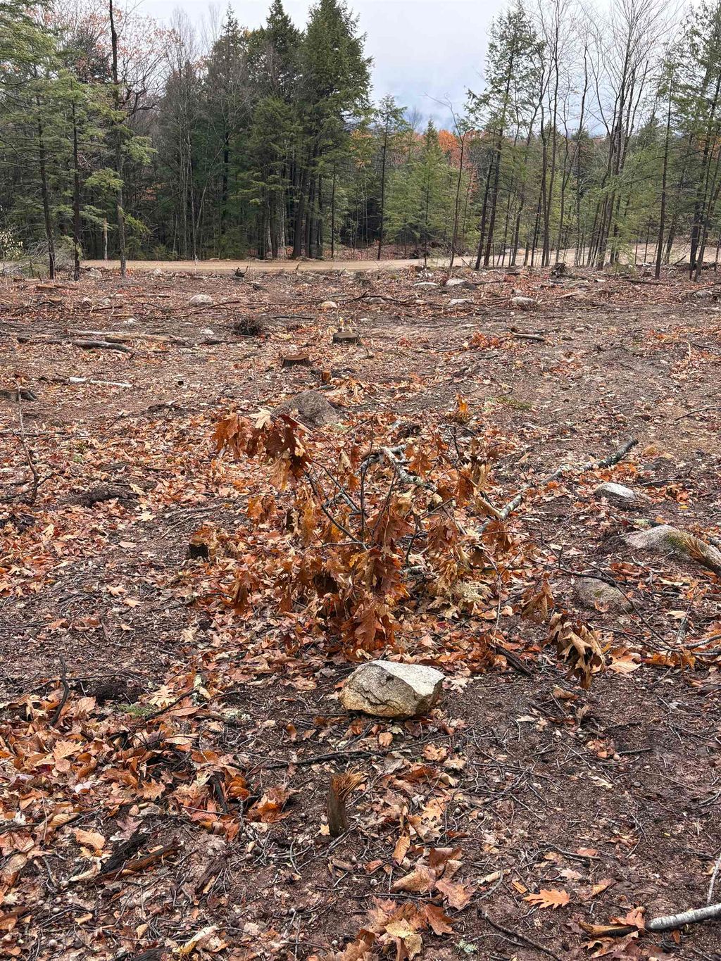 Photo of 8 Sugarloaf Drive #12, Ossipee, NH 03814 (MLS # 5096955)