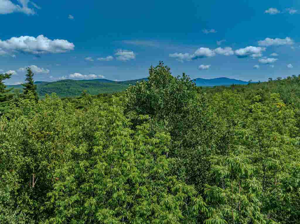 Photo of 711 Gale Chandler Road, Landaff, NH 03585 (MLS # 5104574)
