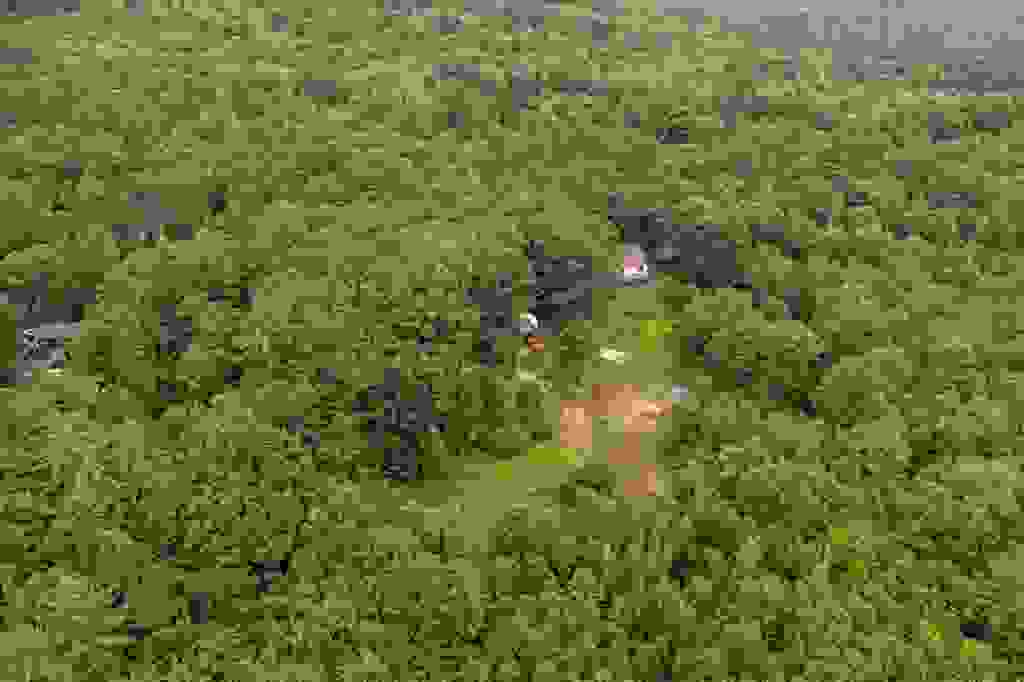 Photo of 82 Champion Hill Road, Effingham, NH 03882 (MLS # 5100687)