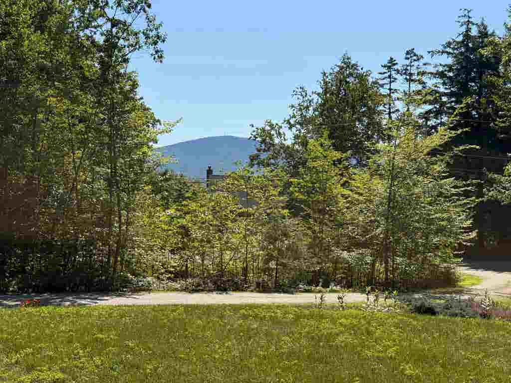 Photo of 81 Hall Farm Road, New London, NH 03257 (MLS # 5104953)