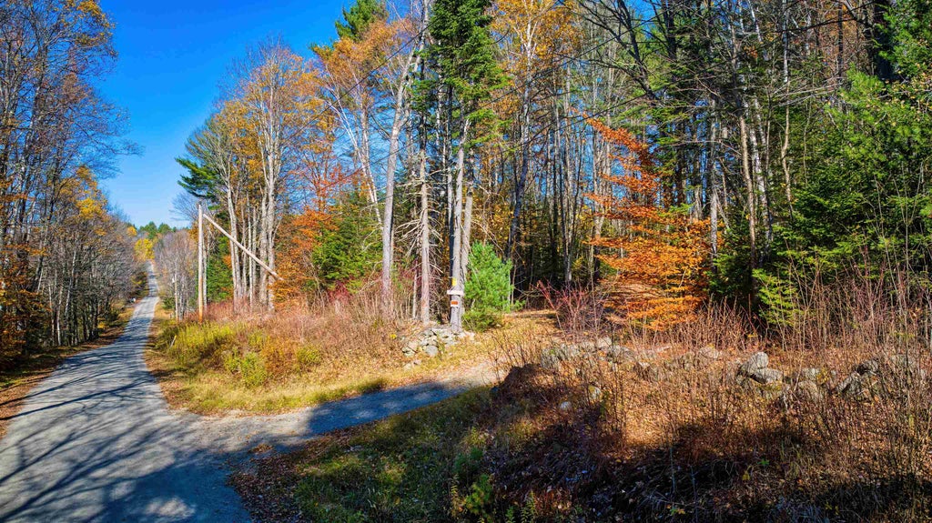 Photo of 2017 Cape Moonshine Road, Piermont, NH 03779 (MLS # 5115726)