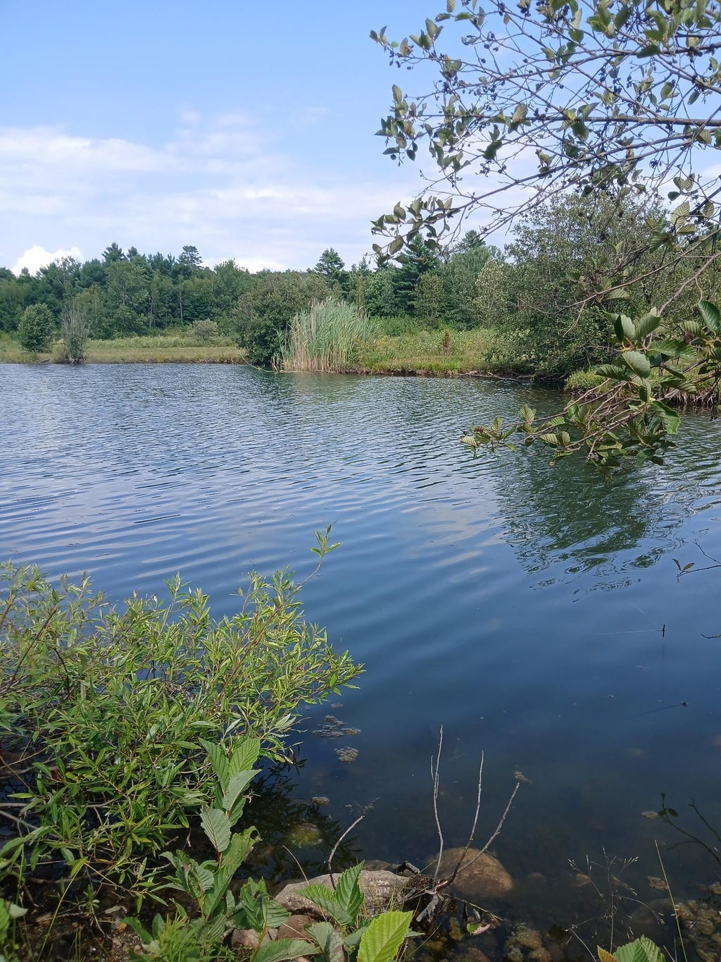 Photo of 461 Bog Road, Enfield, NH 03748 (MLS # 5106406)