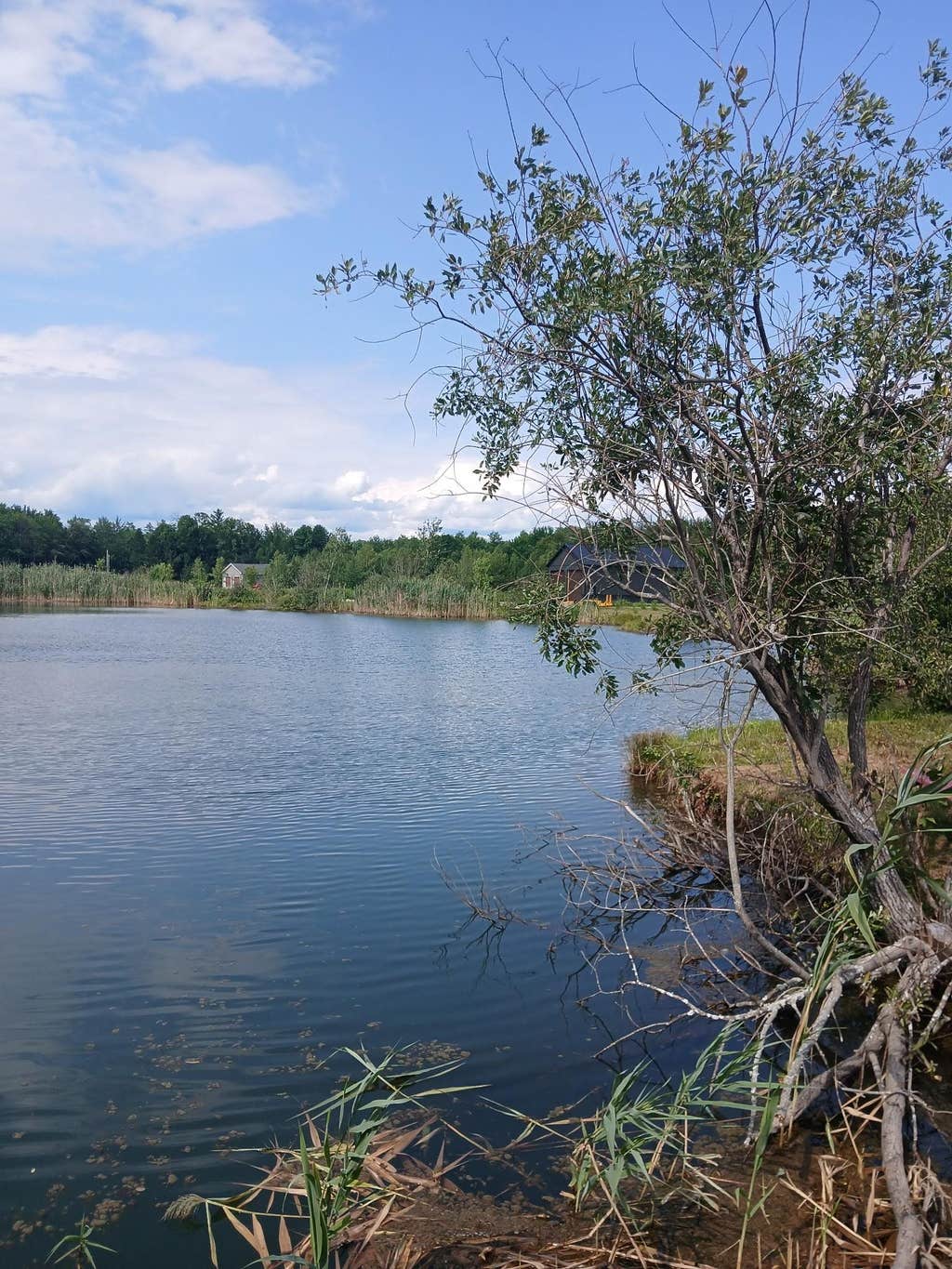 Photo of 461 Bog Road, Enfield, NH 03748 (MLS # 5106406)