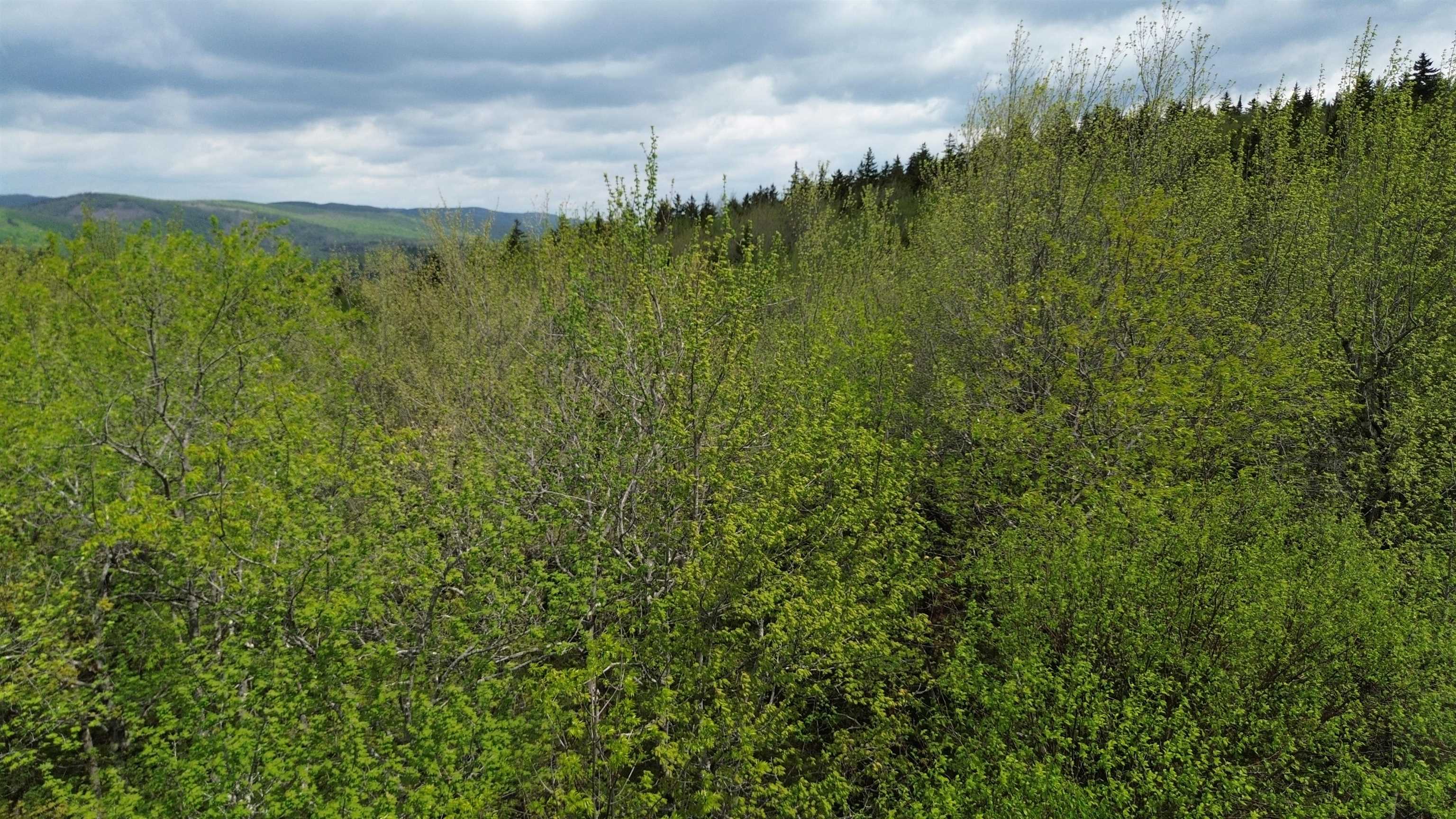 Map 8 Lot 29 Martin Rd Road