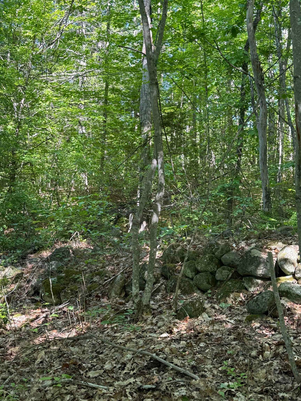 Photo of 00 Upper Bay Road, Sanbornton, NH 03269 (MLS # 5092768)