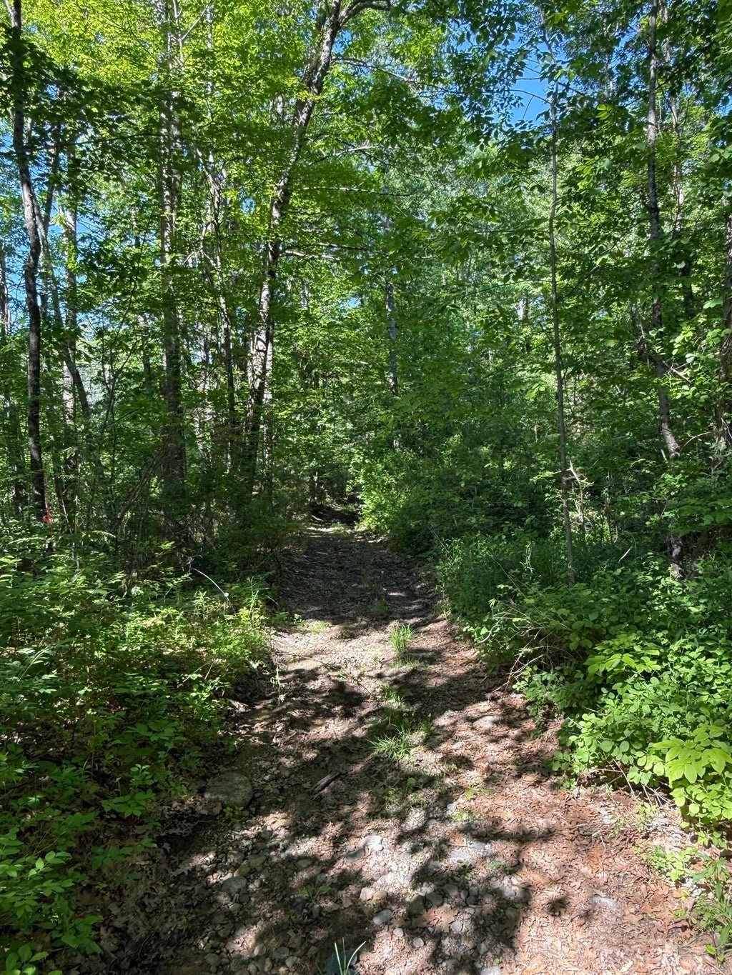 Photo of 00 Upper Bay Road, Sanbornton, NH 03269 (MLS # 5092768)