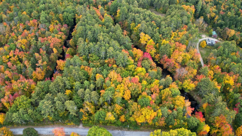 Photo of 43 Melvin Mills Road, Bradford, NH 03221 (MLS # 5112548)