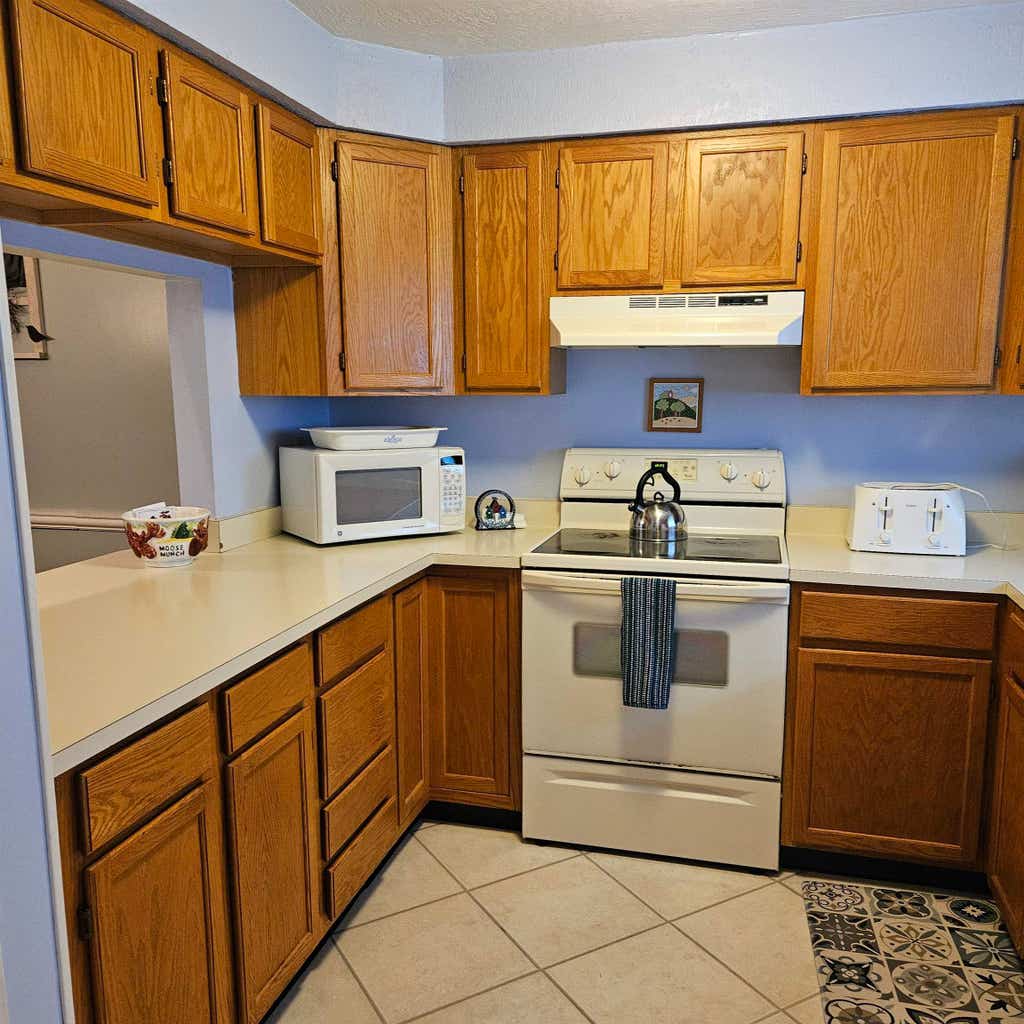 Photo of 12 Grant Drive #164, Woodstock, NH 03262 (MLS # 5095684)