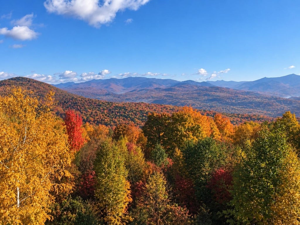 Photo of 0 Puckerbrush Road, Campton, NH 03223 (MLS # 5084993)