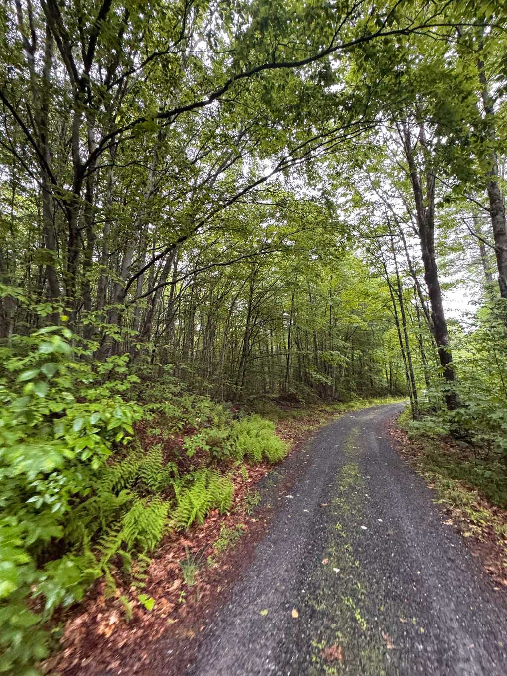 Photo of 101 Gilsum Road #1, Sullivan, NH 03445 (MLS # 5093277)