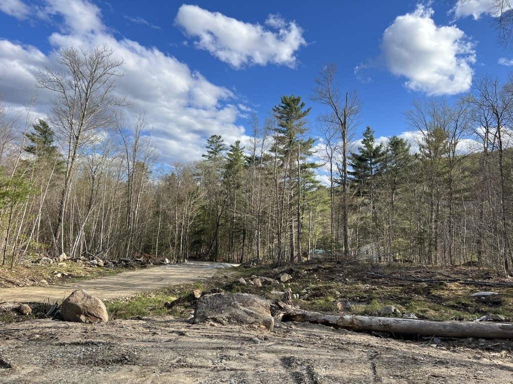 Photo of 244 Rowentown Road #Lot 1, Wentworth, NH 03282 (MLS # 5089037)