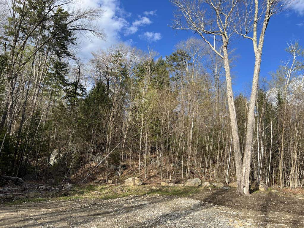 Photo of 244 Rowentown Road #Lot 1, Wentworth, NH 03282 (MLS # 5089037)
