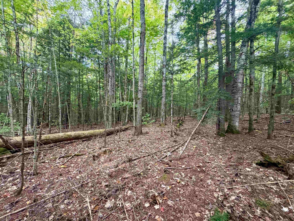 Photo of Windmill Road #Lot 3, Campton, NH 03223 (MLS # 5111709)