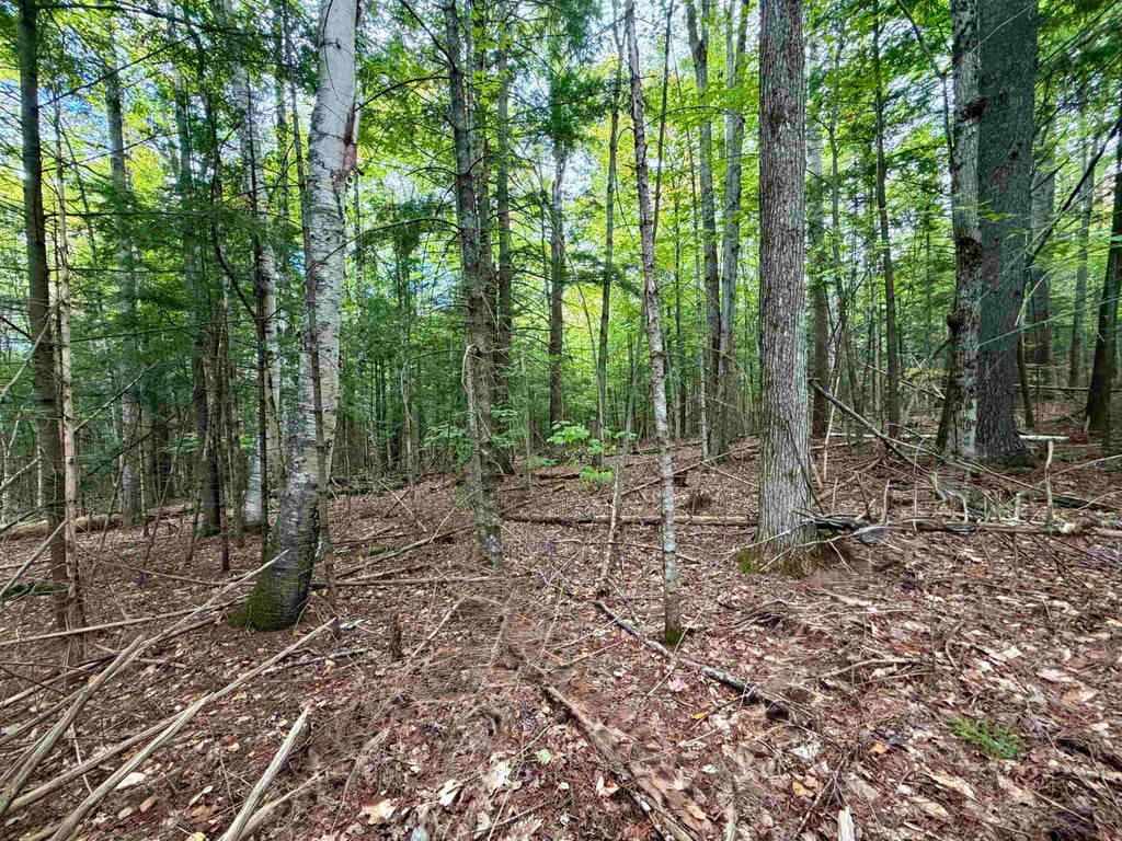 Photo of Windmill Road #Lot 3, Campton, NH 03223 (MLS # 5111709)