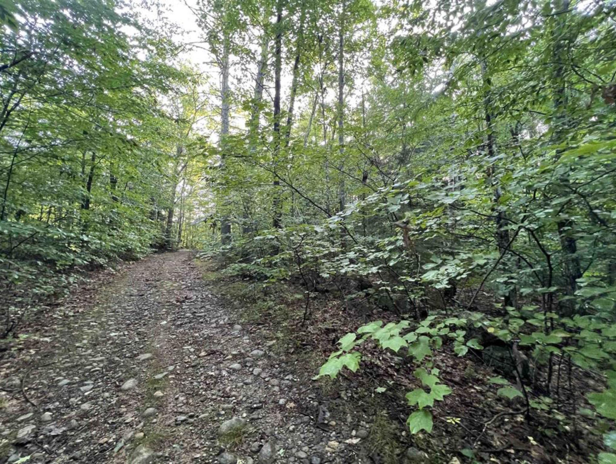 Map 6, Lot 38 Chadwick Hill Road