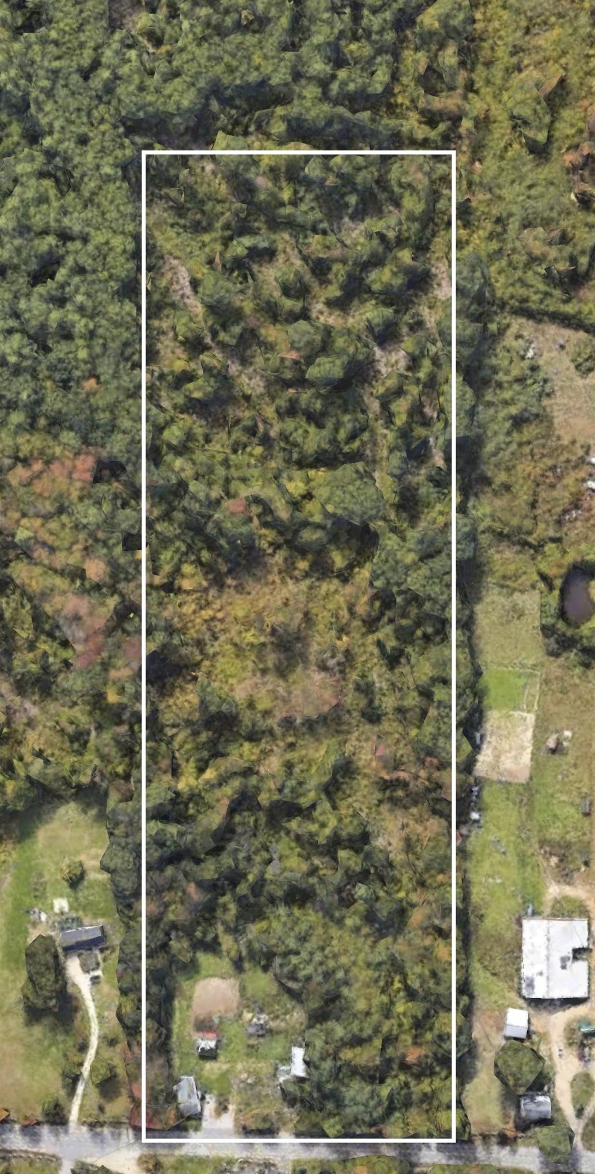 197a Chester Street Land