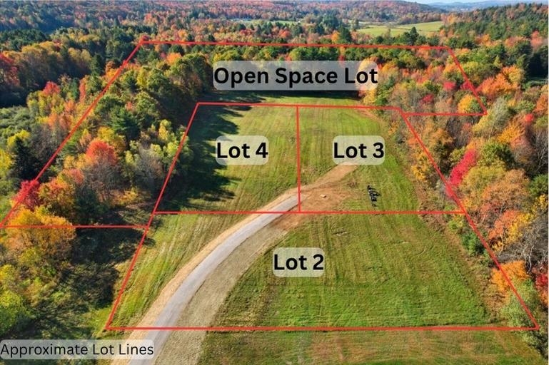 Lots 2, 3, 4, 5 Kody's Way - Photo 4
