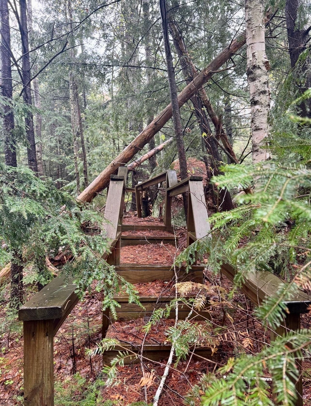 Photo of 392 Dean Road, Grafton, NH 02340 (MLS # 5096203)