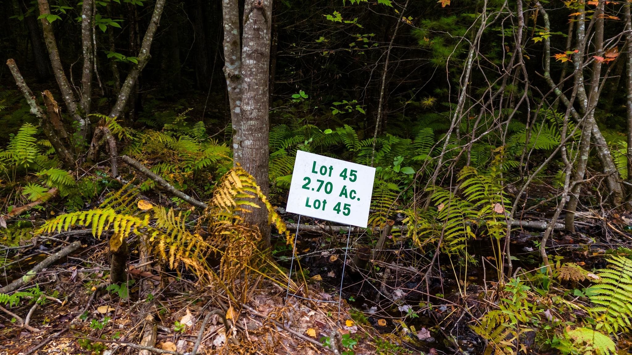 Lot 45 Winnipesaukee Drive