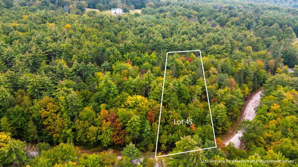 Photo of 45 Winnipesaukee Drive, Wolfeboro, NH 03894 (MLS # 5115668)