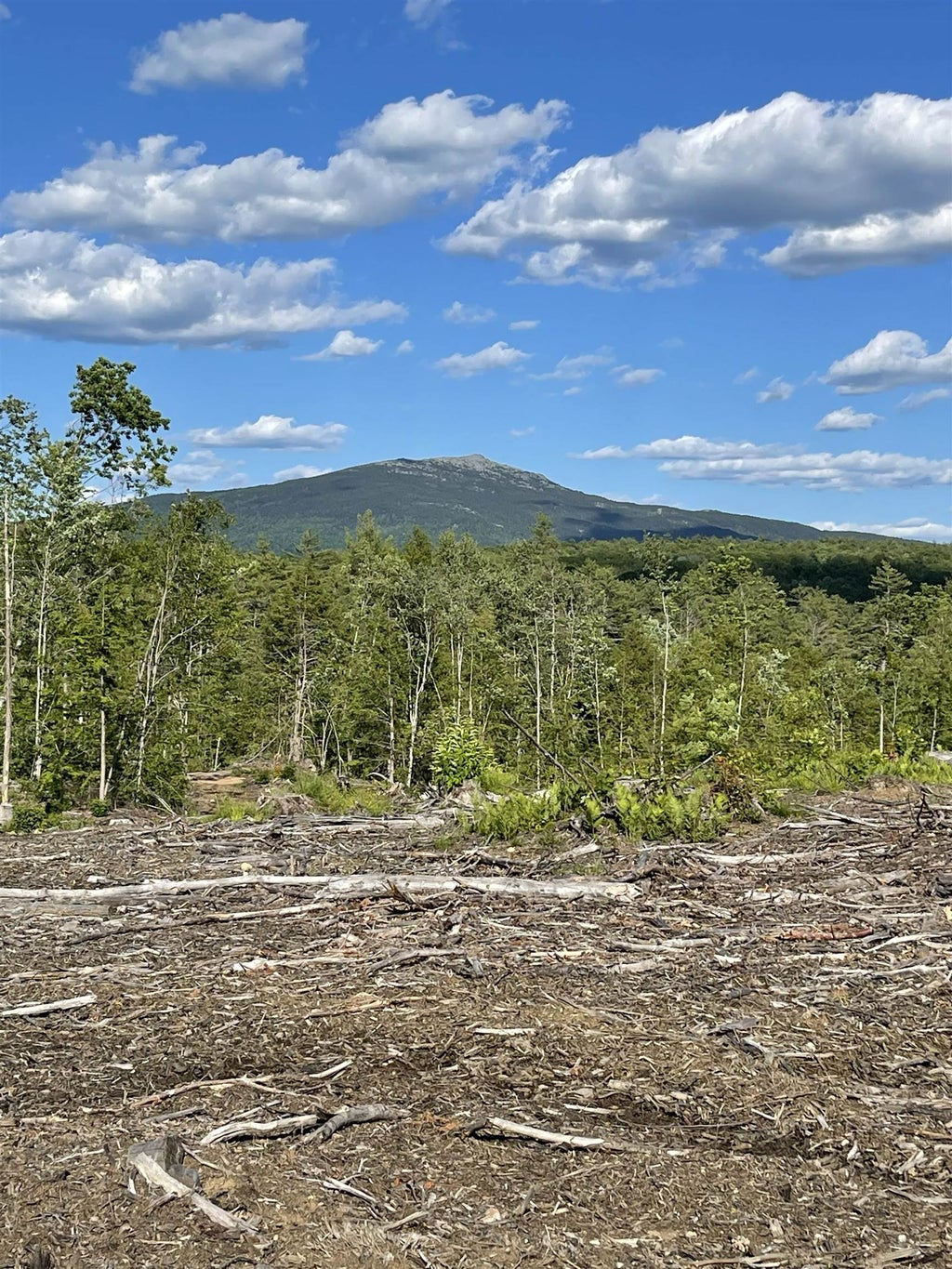 Photo of Maple Lane, Marlborough, NH 03456 (MLS # 5084337)