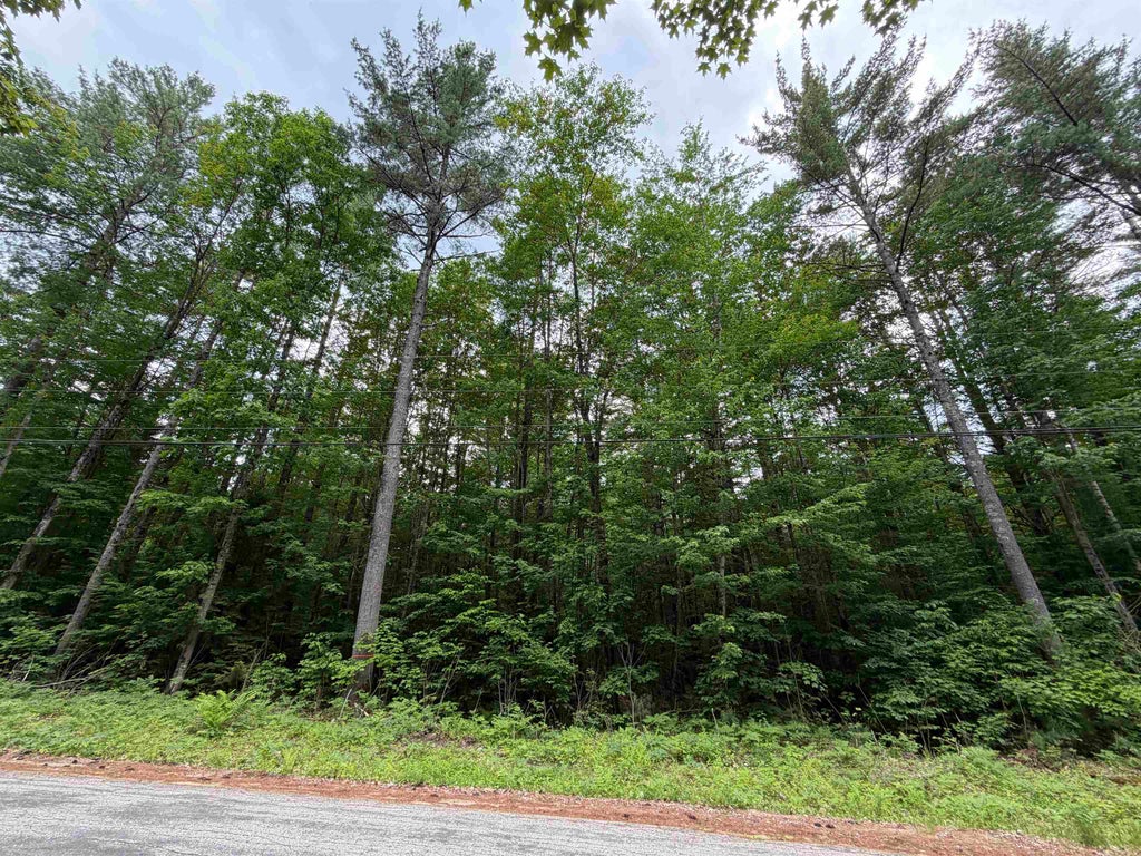 Photo of 00 Rolling Ridge Road, Bartlett, NH 03812 (MLS # 5093992)