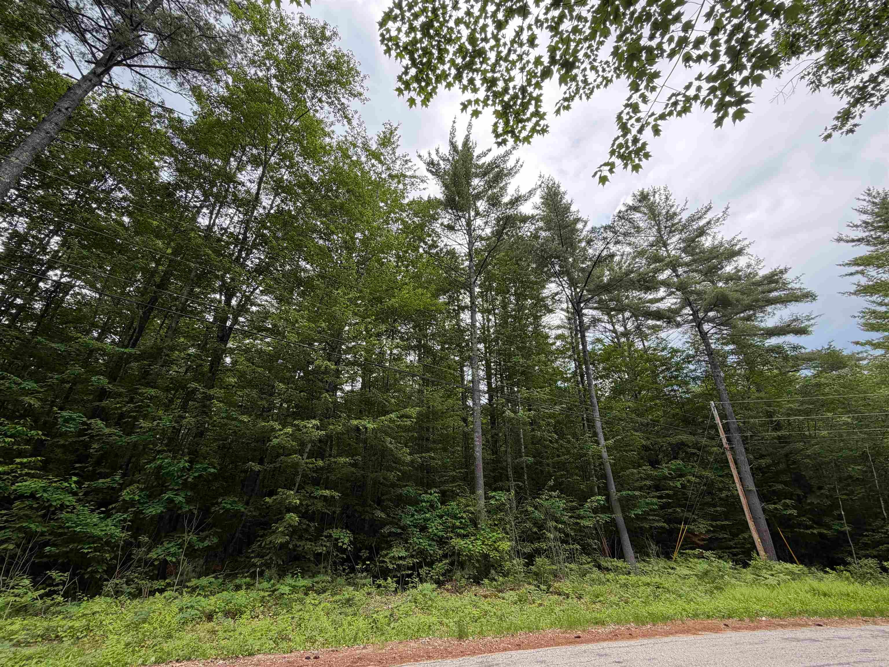 00 Rolling Ridge Road
