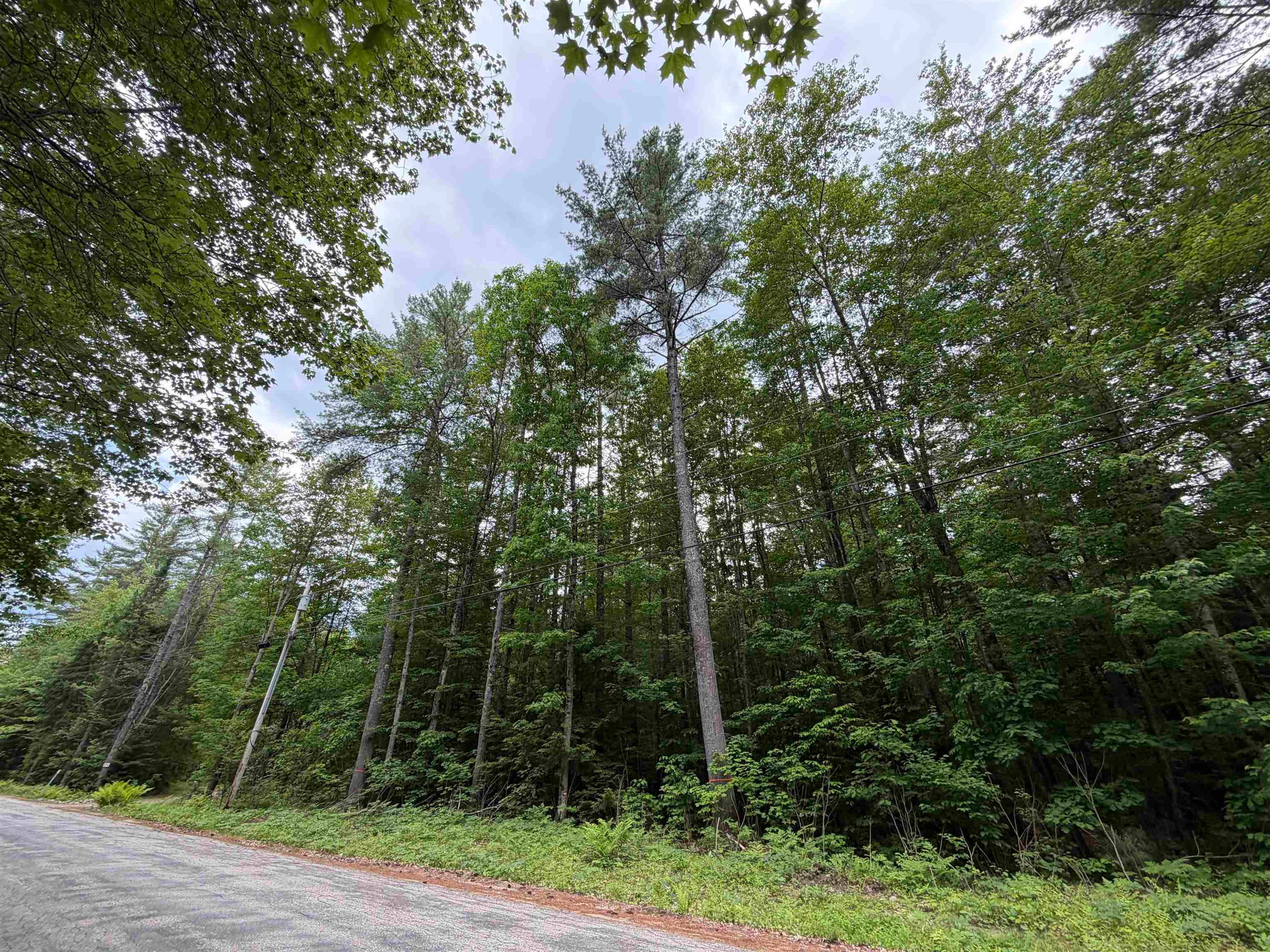 00 Rolling Ridge Road