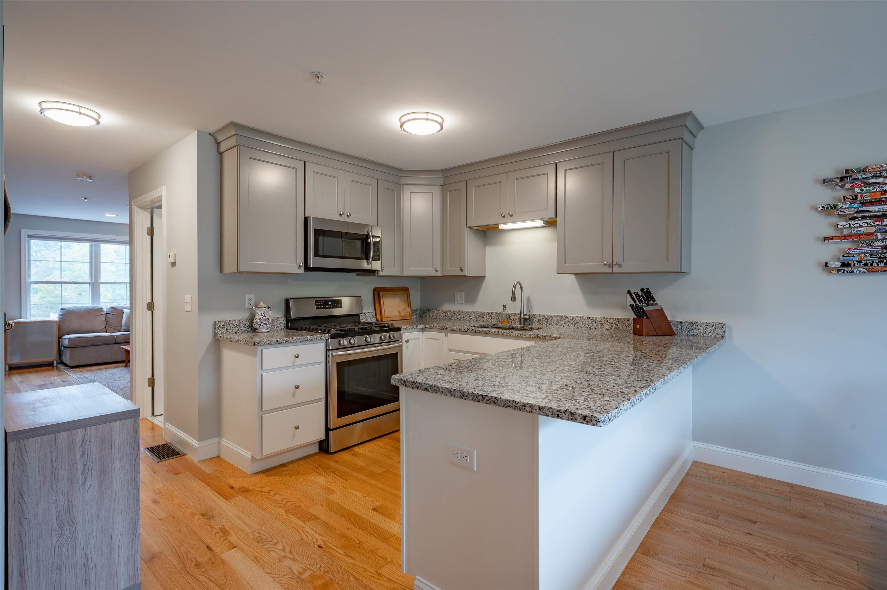 3 Nutfield Court 8