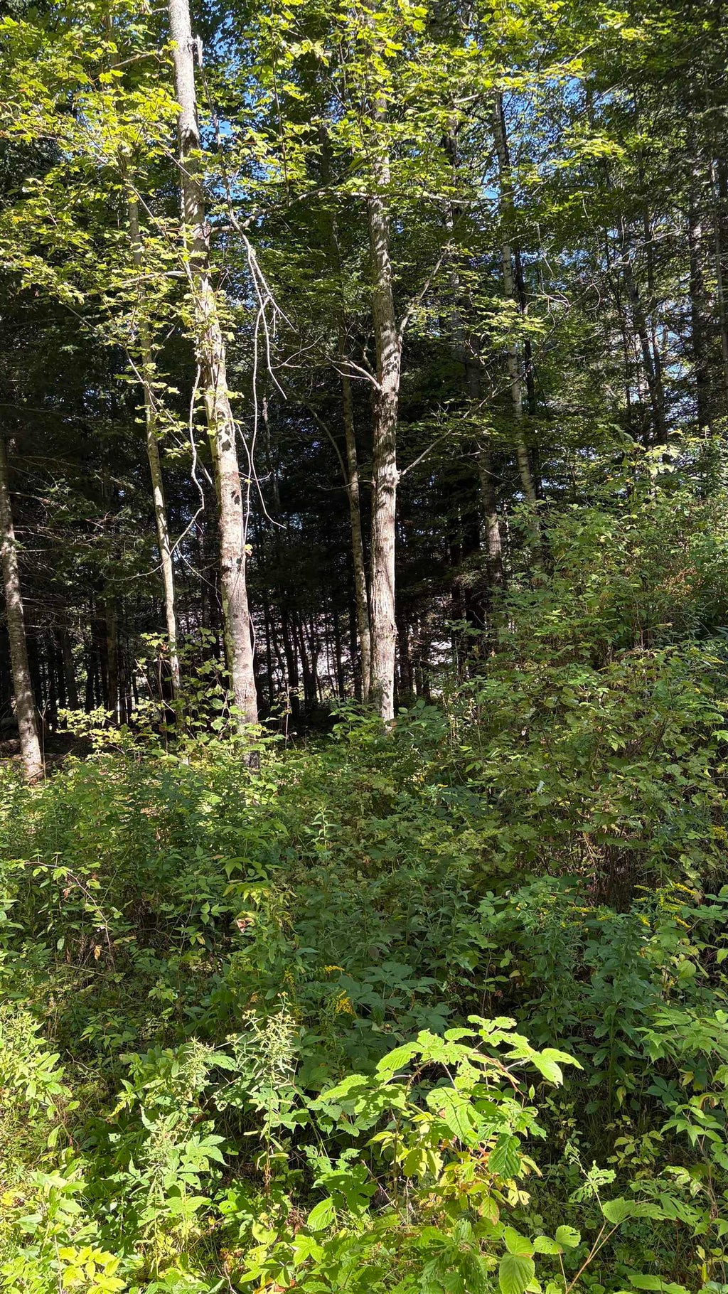 Photo of 0 Oregon Road #3, Lisbon, NH 03585 (MLS # 5102579)