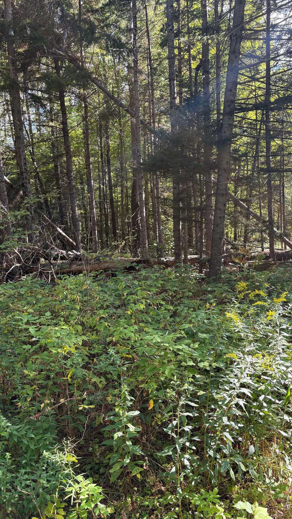 Photo of 0 Oregon Road #3, Lisbon, NH 03585 (MLS # 5102579)