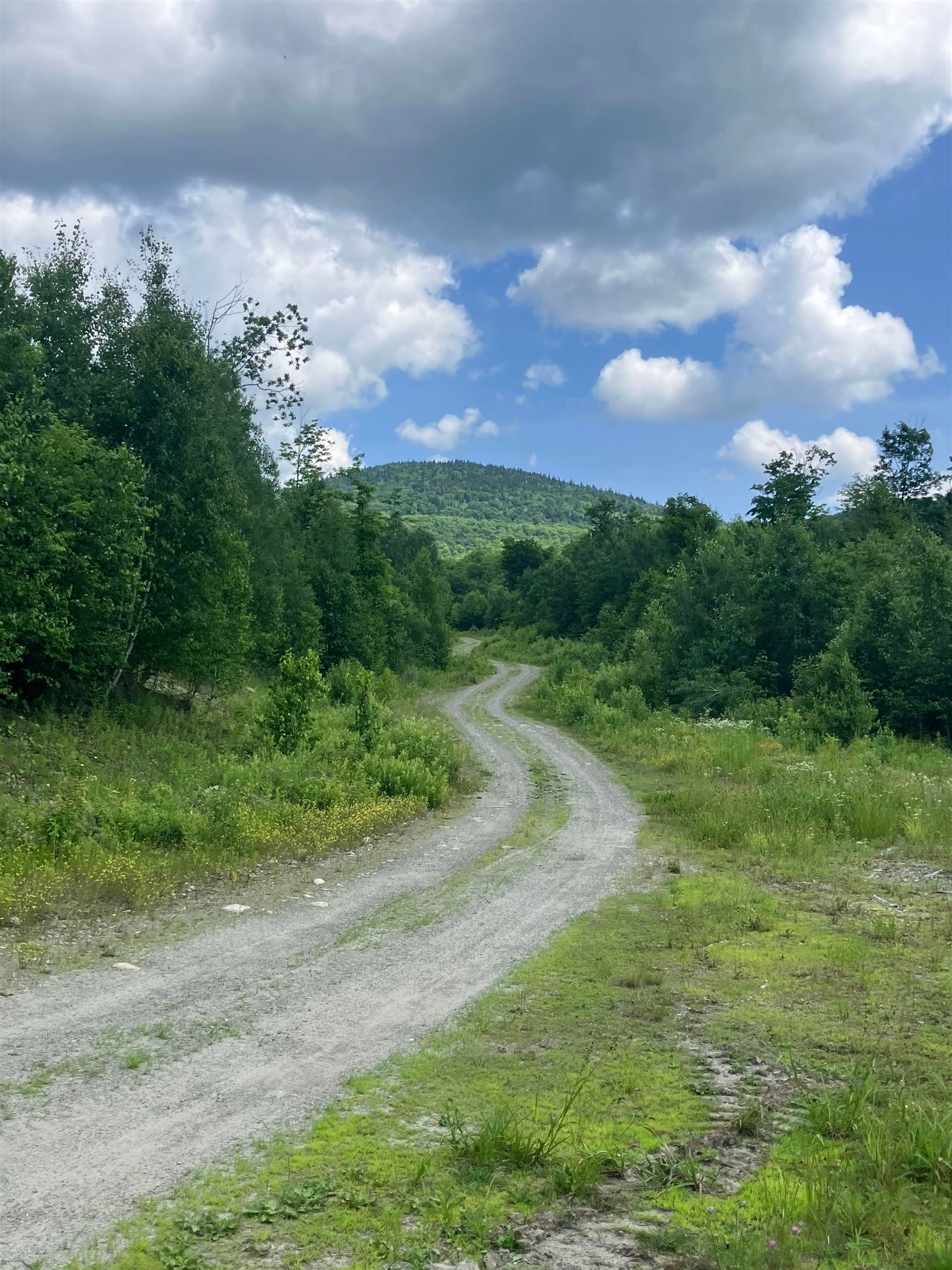 Lot 2&3 Washburn/Meridan Hill Road