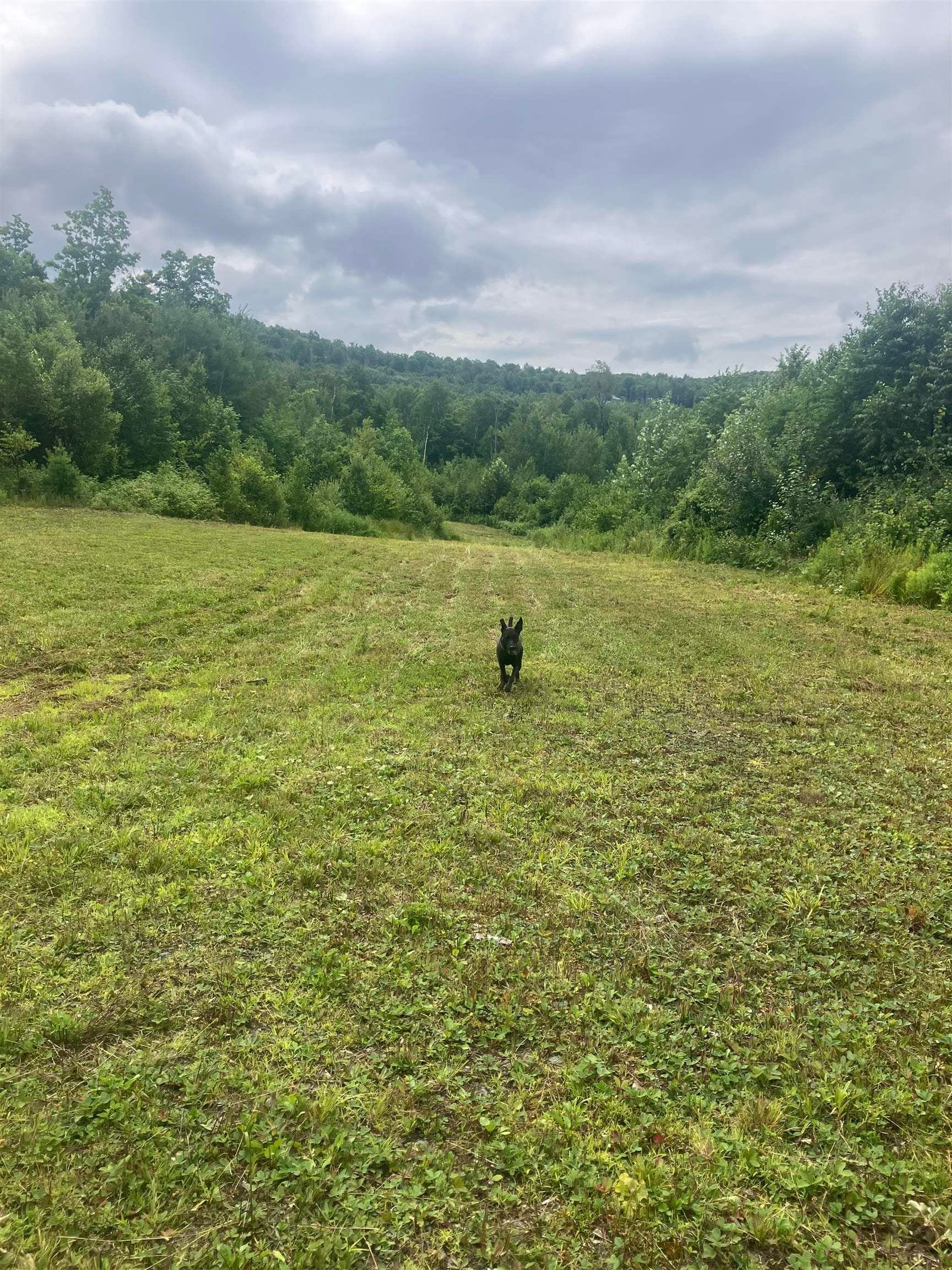 Lot 2&3 Washburn/Meridan Hill Road