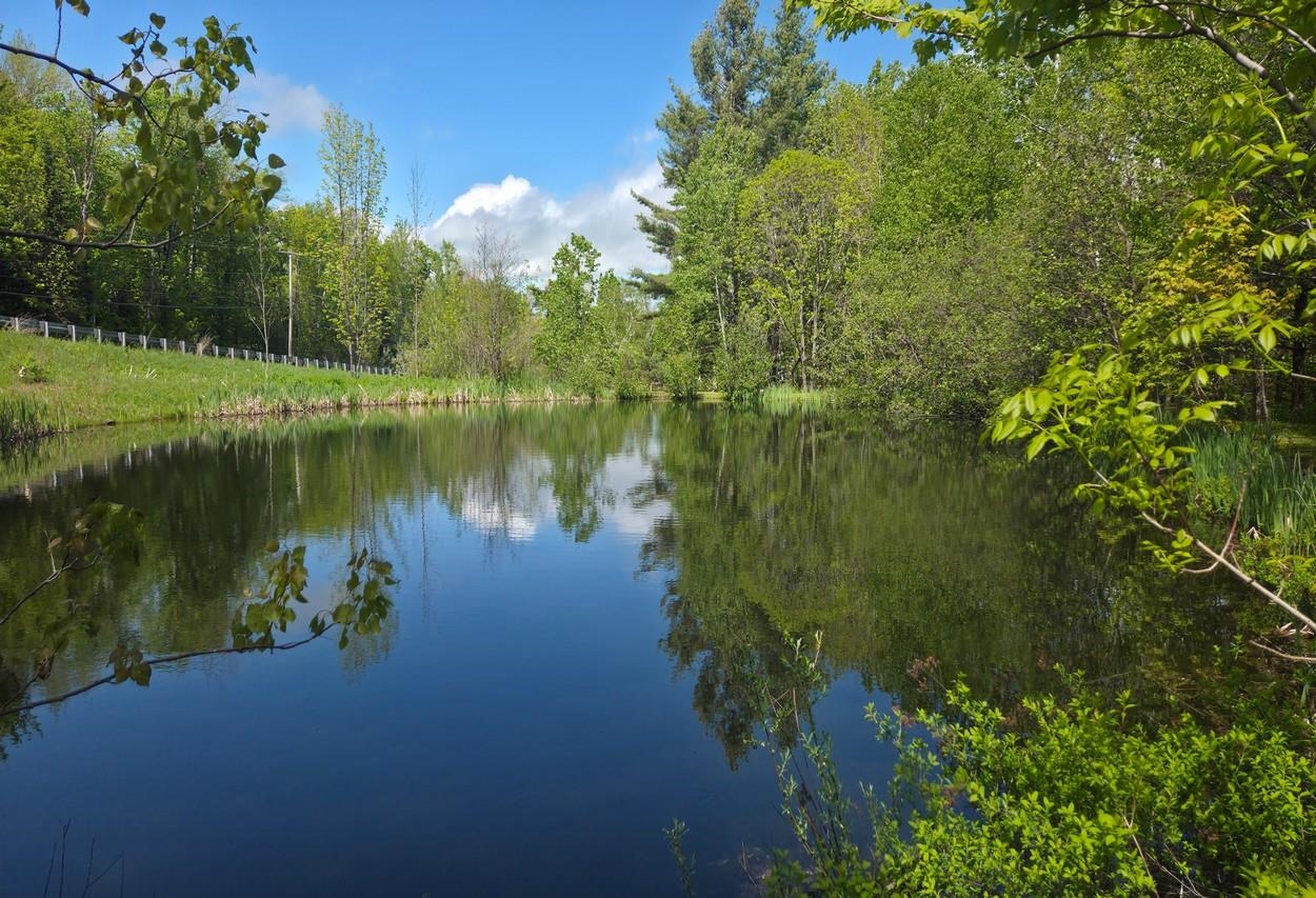 2759 VT Route 11 - Photo 4