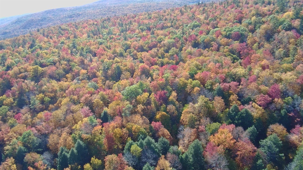Photo of 24 Stage Road, Lempster, NH 03605 (MLS # 5101022)