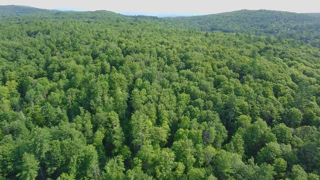 Photo of 24 Stage Road, Lempster, NH 03605 (MLS # 5101022)