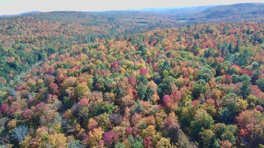 Photo of 24 Stage Road, Lempster, NH 03605 (MLS # 5101022)
