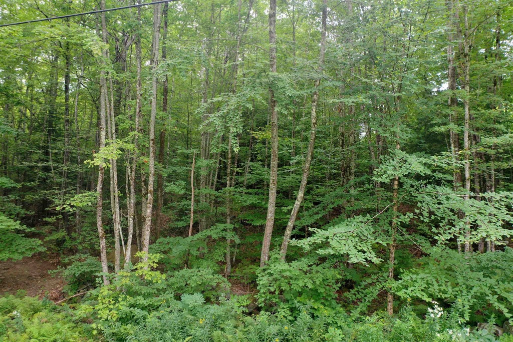 Photo of 0 Guide Board Hill Road, Webster, NH 03303 (MLS # 5107203)